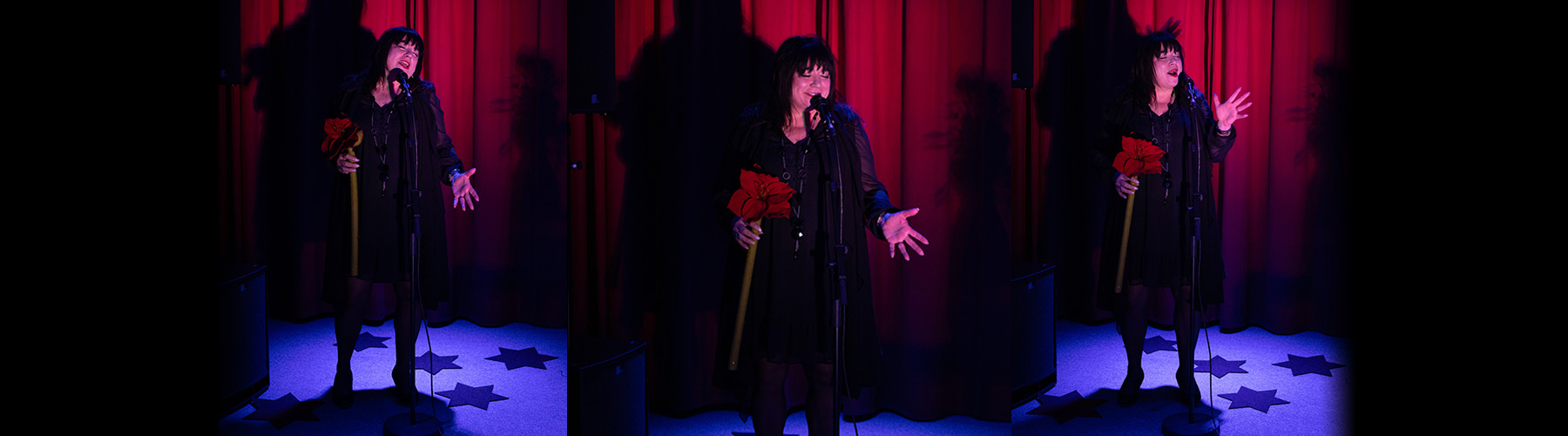 header/sandra-collage26-5.jpg
